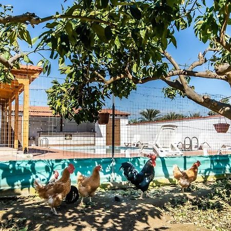 Reel Paradise Villa, Cyprus Larnaca Zewnętrze zdjęcie